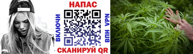 где можно купить наркотик  ОМГ ОМГ маркетплейс  Бошки Шишки план  Шебекино 